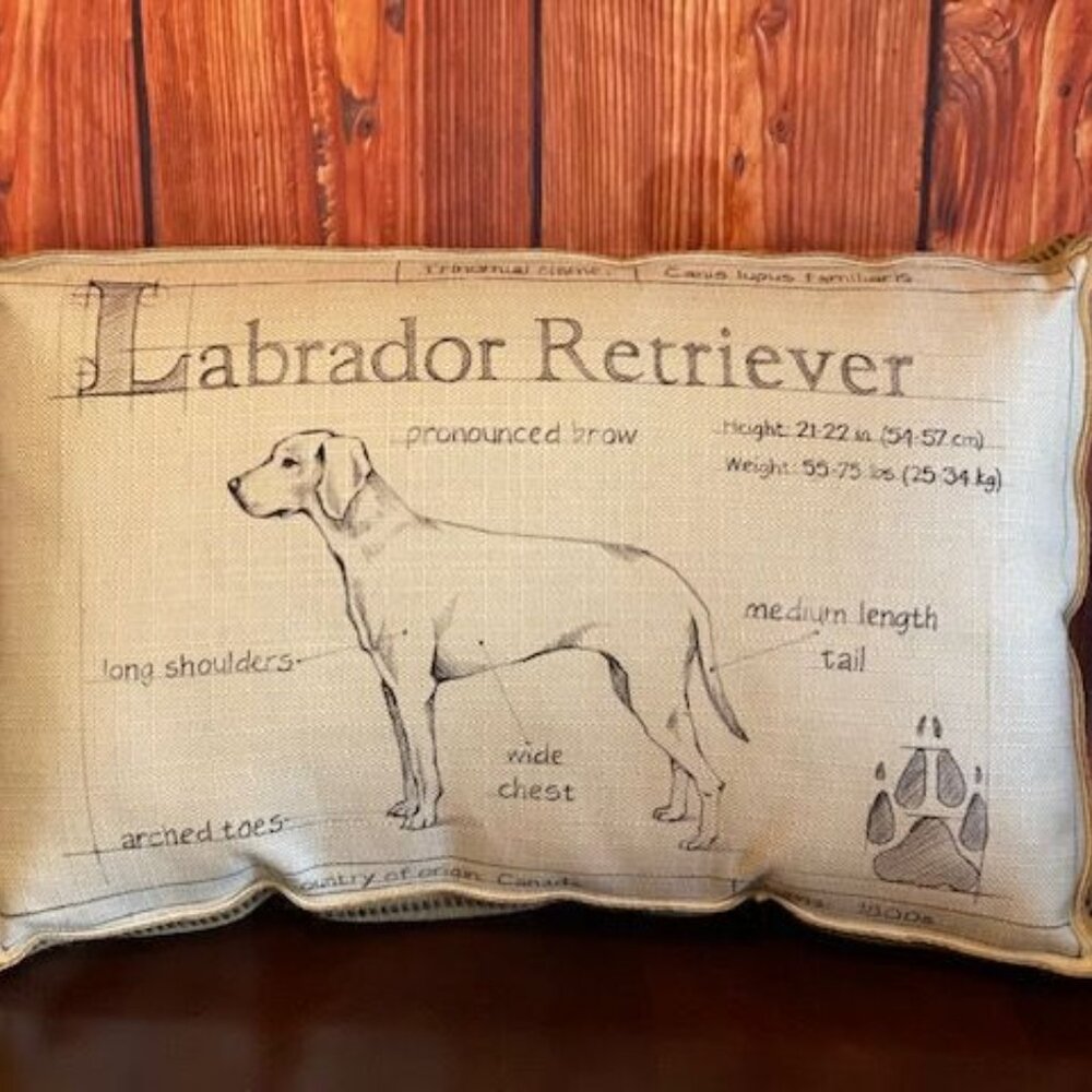 Decorative Splashworks Labrador‎ Retriever Dog Breed Pillow